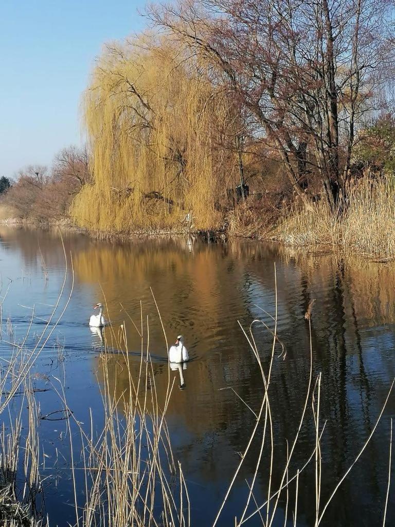*Dana Pokoje Goscinne Gdańsk Exterior foto